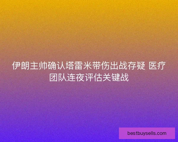 伊朗主帅确认塔雷米带伤出战存疑 医疗团队连夜评估关键战