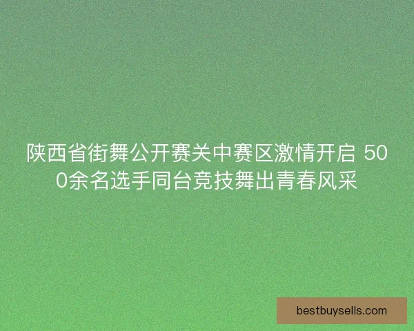 陕西省街舞公开赛关中赛区激情开启 500余名选手同台竞技舞出青春风采
